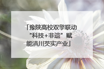 豫陕高校双擎联动 “科技+非遗”赋能潢川芡实产业