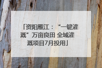 资阳雁江：“一键灌溉”万亩良田 全域灌溉项目7月投用