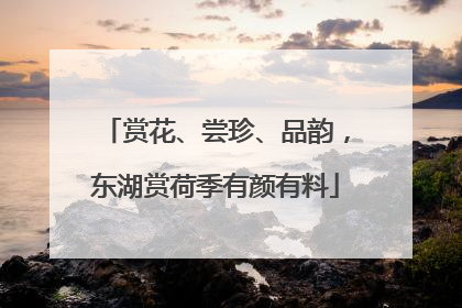 赏花、尝珍、品韵，东湖赏荷季有颜有料