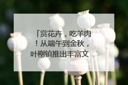 赏花卉，吃羊肉！从端午到金秋，叶榭镇推出丰富文旅活动邀您爽玩
