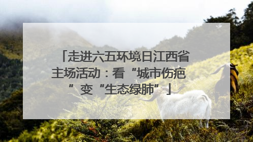 走进六五环境日江西省主场活动：看“城市伤疤”变“生态绿肺”