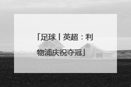 足球丨英超：利物浦庆祝夺冠