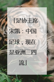 足协主席宋凯：中国足球，现在是亚洲三四流
