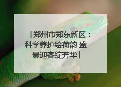 郑州市郑东新区：科学养护绘荷韵 盛景迎客绽芳华
