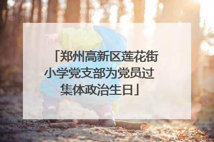 郑州高新区莲花街小学党支部为党员过集体政治生日