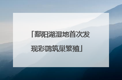 鄱阳湖湿地首次发现彩鹮筑巢繁殖