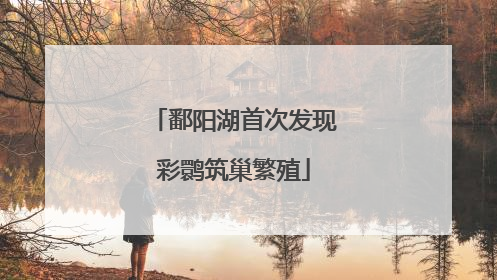 鄱阳湖首次发现彩鹮筑巢繁殖