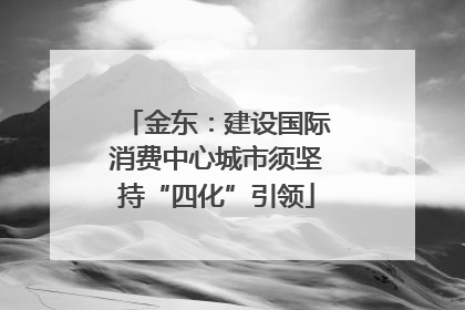 金东：建设国际消费中心城市须坚持“四化”引领
