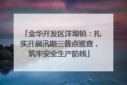 金华开发区洋埠镇：扎实开展汛期三普点巡查，筑牢安全生产防线