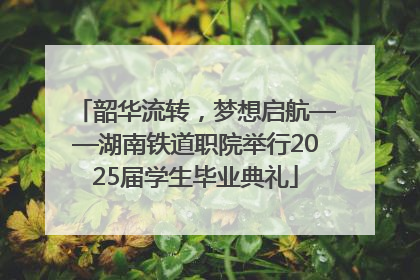 韶华流转，梦想启航——湖南铁道职院举行2025届学生毕业典礼