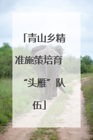 青山乡精准施策培育“头雁”队伍