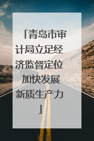 青岛市审计局立足经济监督定位 加快发展新质生产力