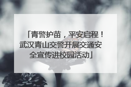 青警护苗，平安启程！武汉青山交警开展交通安全宣传进校园活动