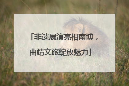 非遗展演亮相南博，曲靖文旅绽放魅力