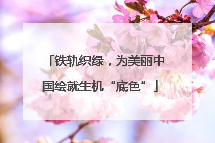 铁轨织绿，为美丽中国绘就生机“底色”