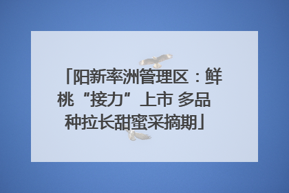 阳新率洲管理区：鲜桃“接力”上市 多品种拉长甜蜜采摘期