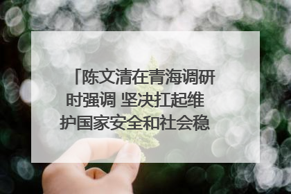 陈文清在青海调研时强调 坚决扛起维护国家安全和社会稳定职责使命 为谱写中国式现代化青海篇章贡献政法力量