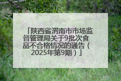 陕西省渭南市市场监督管理局关于9批次食品不合格情况的通告（2025年第9期）