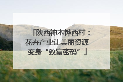 陕西神木铧西村：花卉产业让美丽资源变身“致富密码”