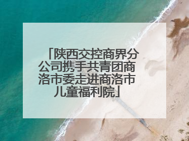 陕西交控商界分公司携手共青团商洛市委走进商洛市儿童福利院