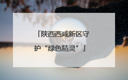 陕西西咸新区守护“绿色精灵”