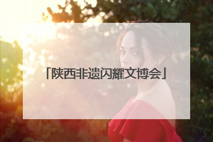 陕西非遗闪耀文博会