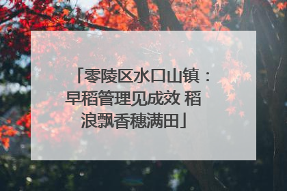 零陵区水口山镇：早稻管理见成效 稻浪飘香穗满田