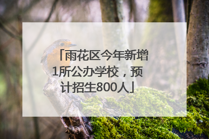 雨花区今年新增1所公办学校，预计招生800人