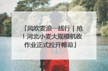 风吹麦浪一线行｜抢！河北小麦大规模机收作业正式拉开帷幕