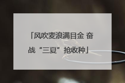 风吹麦浪满目金 奋战“三夏”抢收种