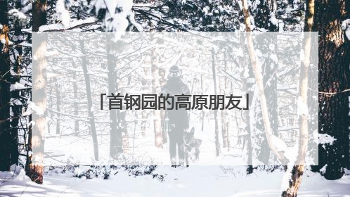 首钢园的高原朋友