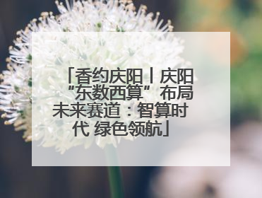 香约庆阳丨庆阳“东数西算”布局未来赛道：智算时代 绿色领航