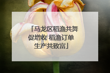 马龙区稻渔共舞促增收 稻渔订单生产共致富
