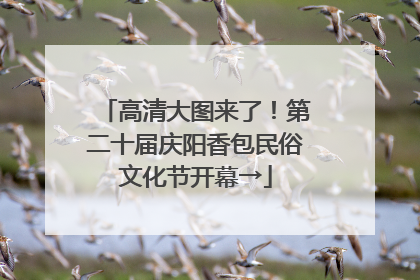 高清大图来了！第二十届庆阳香包民俗文化节开幕→