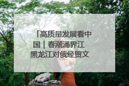 高质量发展看中国｜春潮涌界江 黑龙江对俄经贸文旅交流绿意盎然