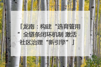 龙南：构建“选育管用”全链条闭环机制 激活社区治理“新引擎”