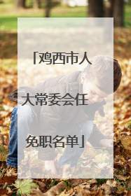鸡西市人大常委会任免职名单