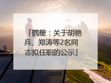 鹤壁：关于胡艳兵、郑涛等2名同志拟任职的公示