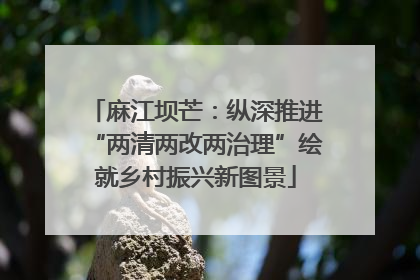麻江坝芒：纵深推进“两清两改两治理”绘就乡村振兴新图景