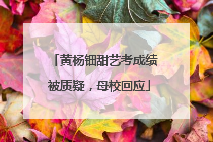 黄杨钿甜艺考成绩被质疑，母校回应