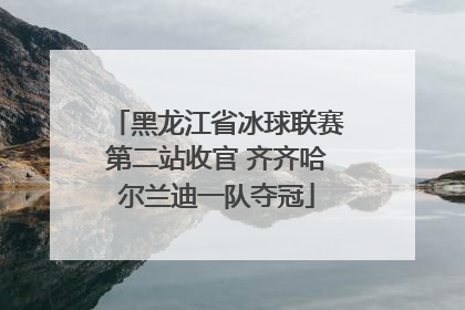 黑龙江省冰球联赛第二站收官 齐齐哈尔兰迪一队夺冠