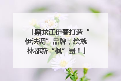 黑龙江伊春打造“伊法调”品牌，绘就林都新“枫”景！
