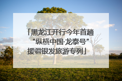 黑龙江开行今年首趟“纵横中国·龙泰号”援疆银发旅游专列