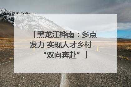 黑龙江桦南：多点发力 实现人才乡村“双向奔赴”