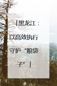 黑龙江：以高效执行守护“粮袋子”