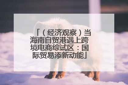 （经济观察）当海南自贸港遇上跨境电商综试区：国际贸易添新动能
