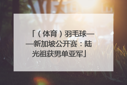 （体育）羽毛球——新加坡公开赛：陆光祖获男单亚军