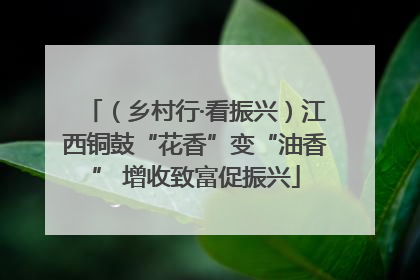 （乡村行·看振兴）江西铜鼓“花香”变“油香” 增收致富促振兴