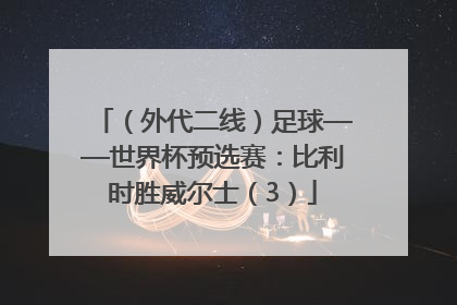 （外代二线）足球——世界杯预选赛：比利时胜威尔士（3）