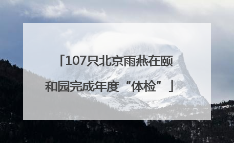 107只北京雨燕在颐和园完成年度“体检”